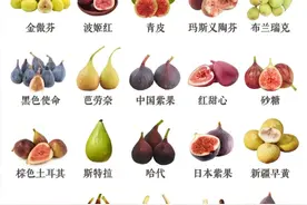哪种无花果是最优秀的？我推荐巴劳奈。图片