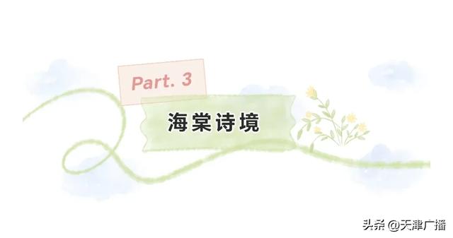 最新 | 天津水上公园公告！