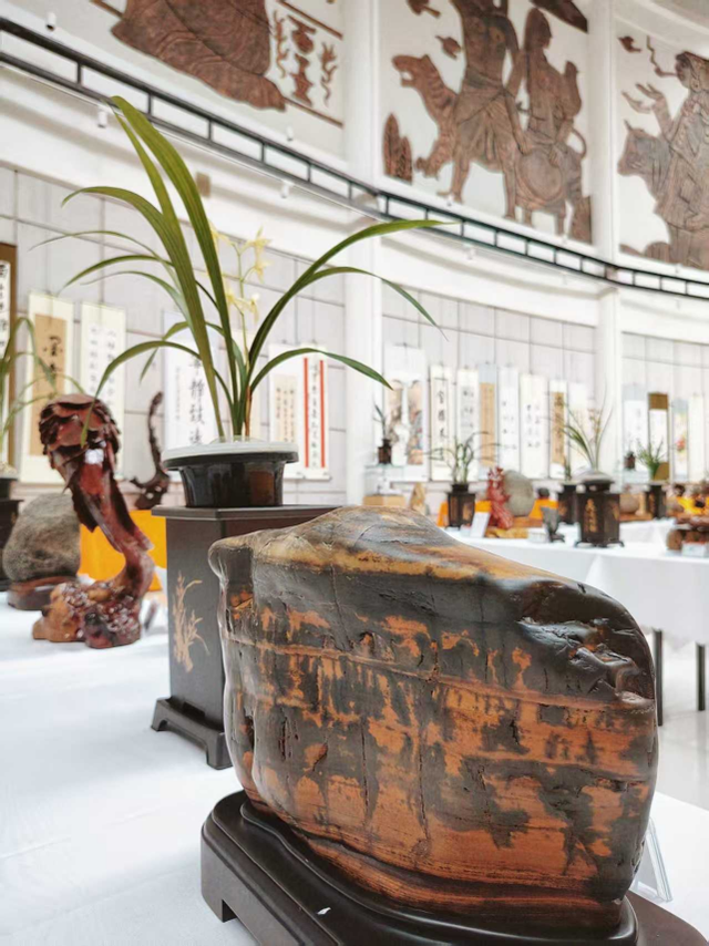 情暖重阳，爱在普洱，让我们一同相聚周末市民文化节