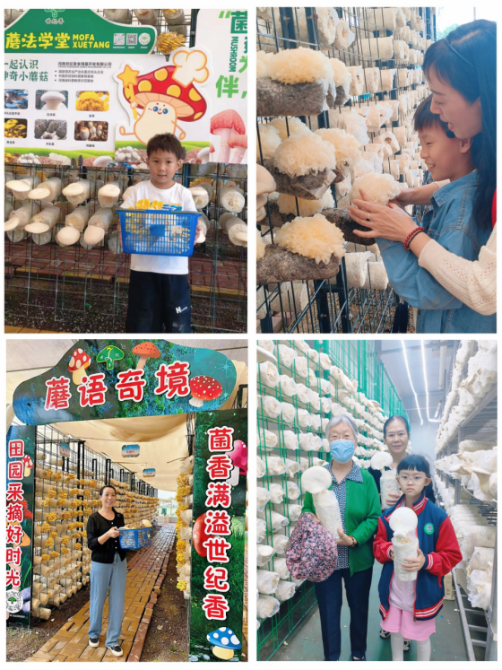采秋趣，闻果香 | 别再宅家啦！秋天的快乐是在建安区摘出来的！