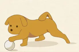 狗狗一天24小时在忙什么你都知道吗？建议点赞收藏图片