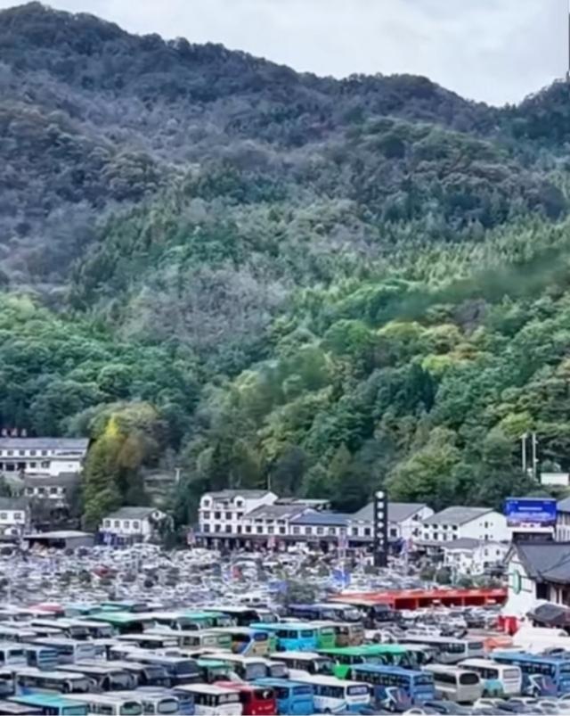 光雾山何时小众？