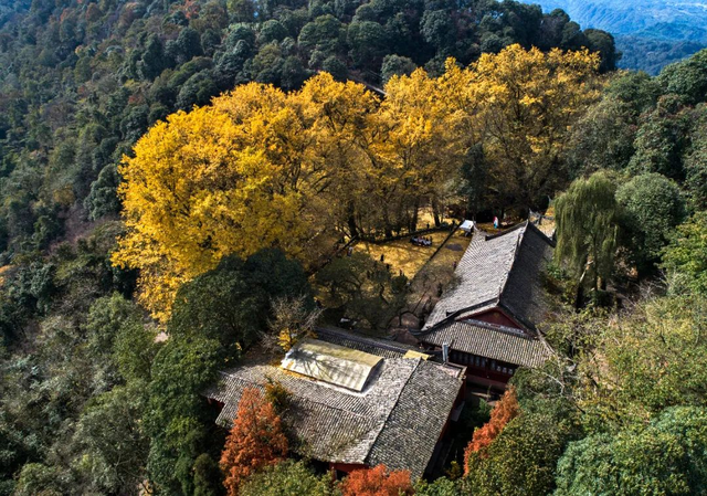 【跟着川超游雅安】如果你不来雅安，不知道秋天的雅安有多美！