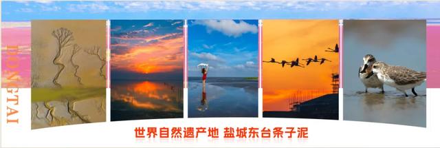 东台秋日美景推介亮相上海