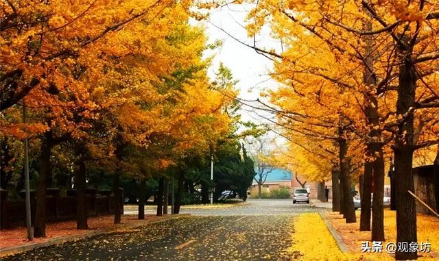 大连：全国最傻的城市！那么多好看的景点居然都免费！