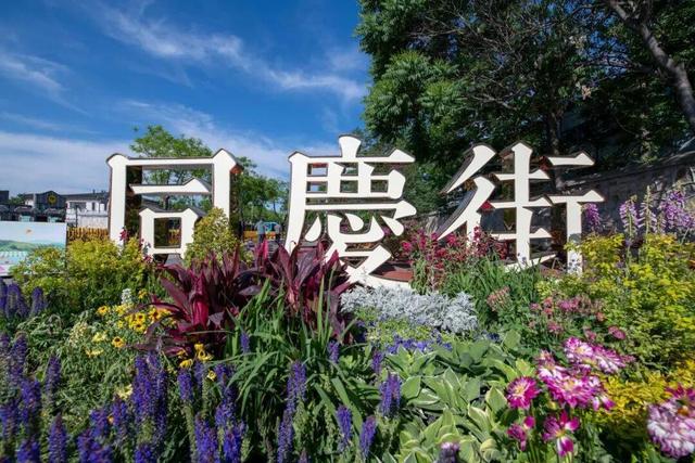 游三山五园？还有这些“隐藏玩法”