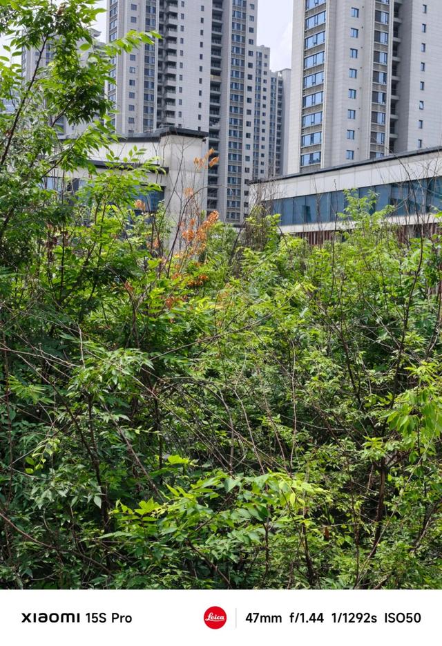 玄戒O1成了？小米15S Pro真能算一台旗舰机