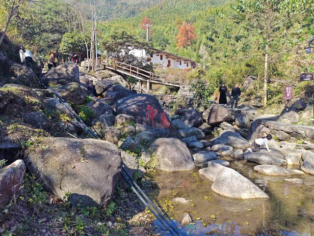 郁郁银杏无非般若，青青溪石尽是法身：宜春南惹古村印象（聂朋