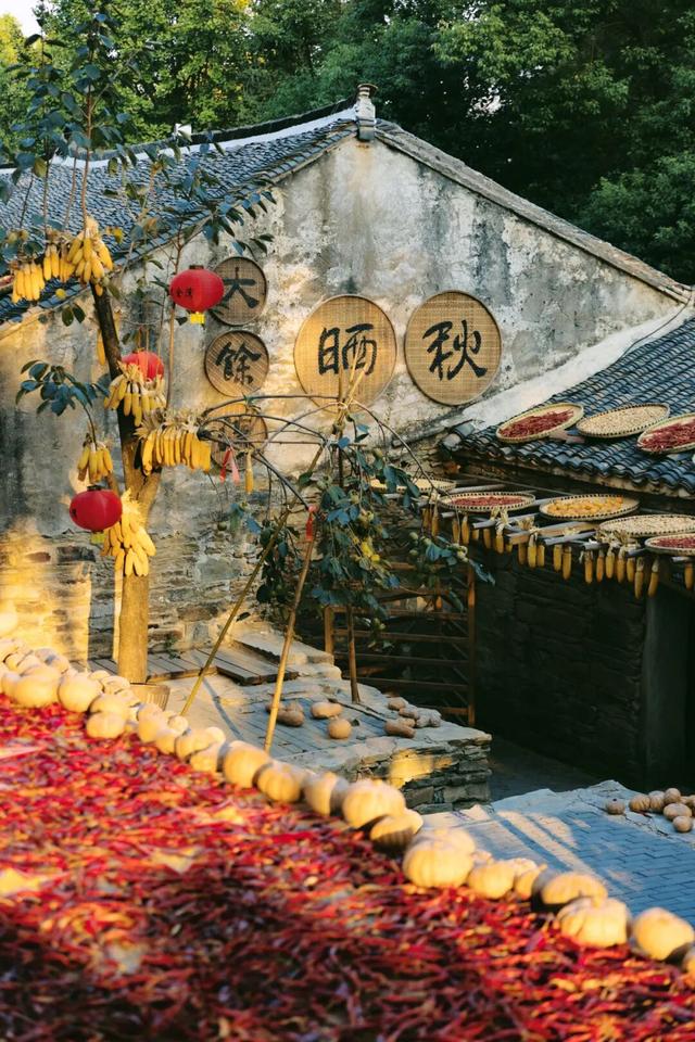 私藏版自驾路书！黄陂8条宝藏路线带你打卡武汉“小川藏”！