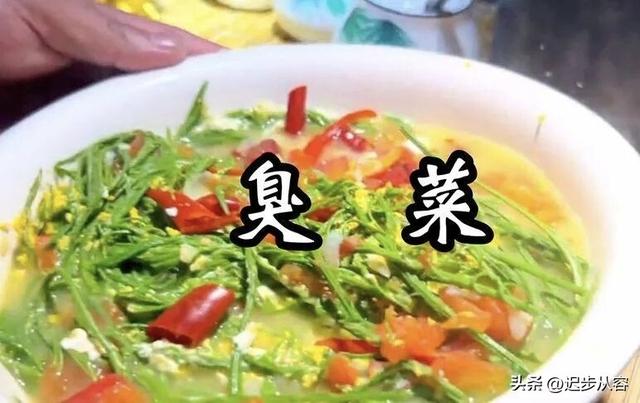 震惊！！名字带“臭”却真香
