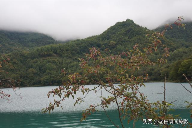文县天池，深山峡谷中被秋天吻过的仙境