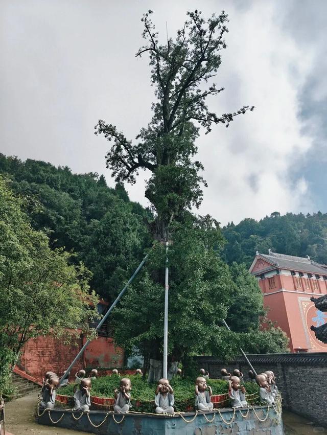 与青城山齐名！成都南门0.5h直达小众古寺，人少景美徒步好去处！