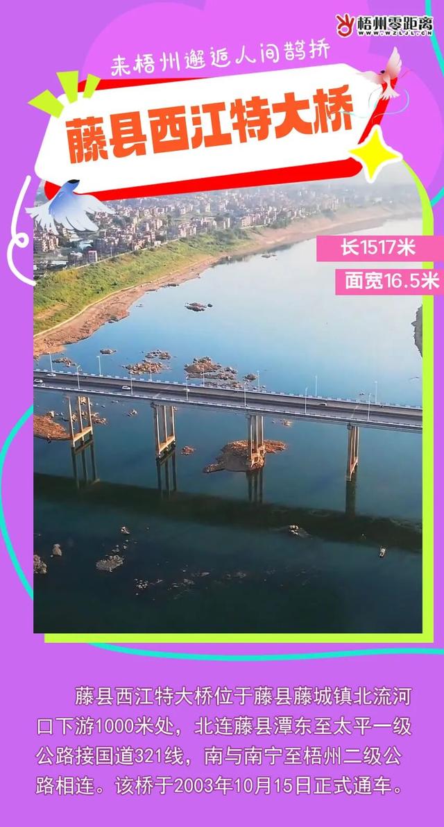 七夕，来梧州邂逅人间鹊桥