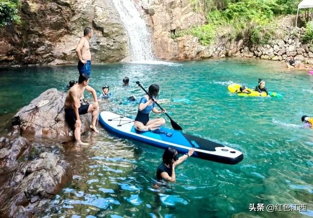 寻梦淡竹，邂逅一夏清凉