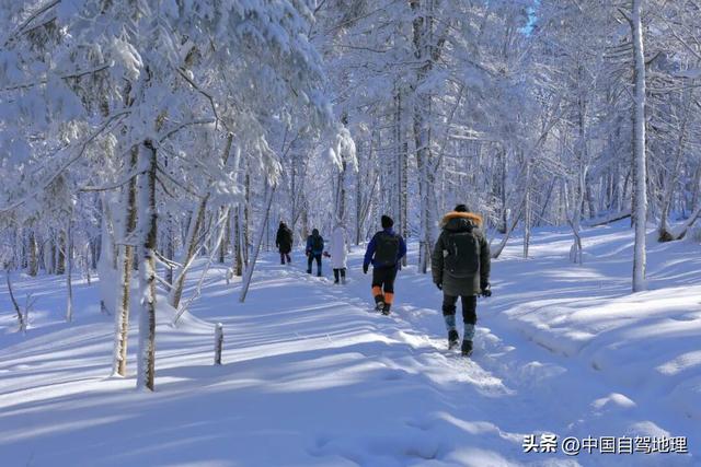 承包最治愈的冬日秘境！收下这份超详细赏玩攻略，12月出发正好