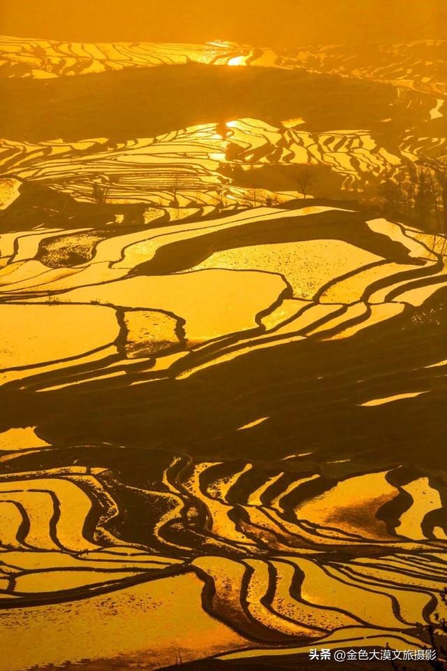 春日爆款!花季限定·2月8日/3月8日出发【花开滇境·七彩云南】8日