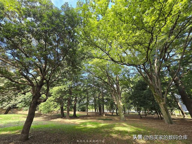 非凡价格 非凡体验 华为Mate XT体验 2万块和Z Fold6打的有来有回