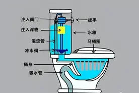 建议：厕纸丢马桶里直接冲走，不是误导，是正确用法的真实解答图片