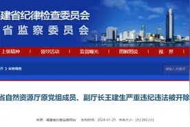 福建省自然资源厅原党组成员、副厅长王建生被开除党籍图片
