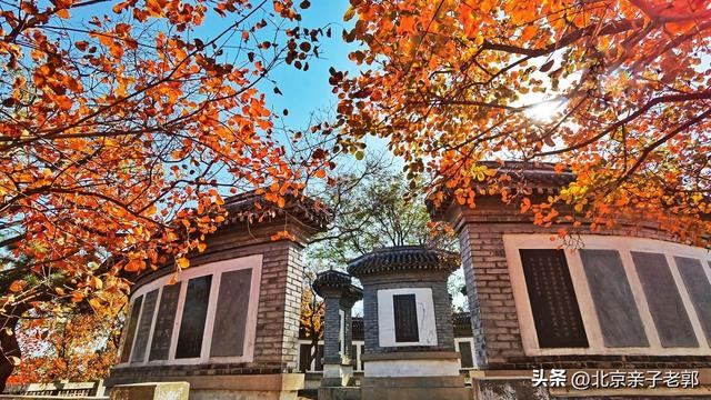 百望山三条宝藏徒步路线大揭秘