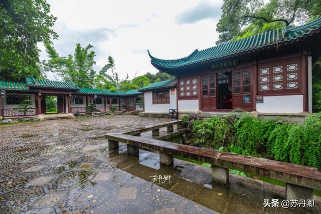 武汉的夏天，有多热就有多美！东湖听雨感受一场“风雅集”