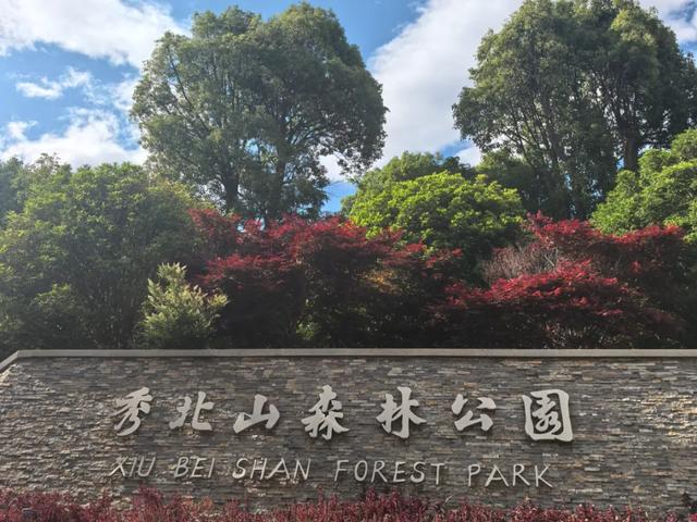 秀北山森林公园改造施工中！大理将添浪漫新地标