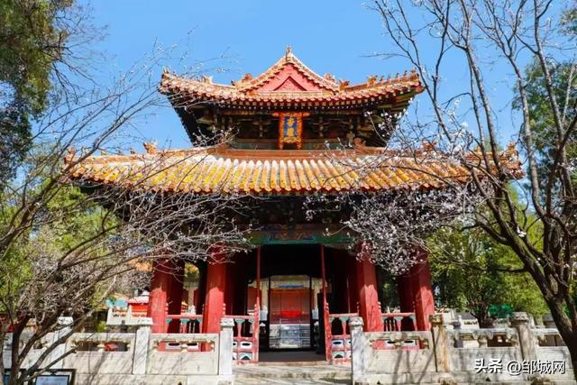 济宁上榜中国百强城市，你的心动之旅从这里开启
