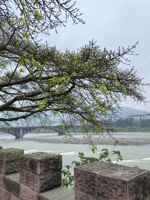 在雅安这座城市里，感受慢生活