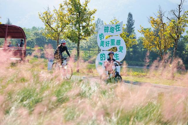 除骑遇浪漫还有山野欢乐跑！深圳南澳新大“粉黛花海季”活动陆续派送中
