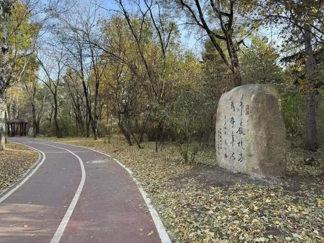 长春这里即将上新！明年开春去“寻宝”→