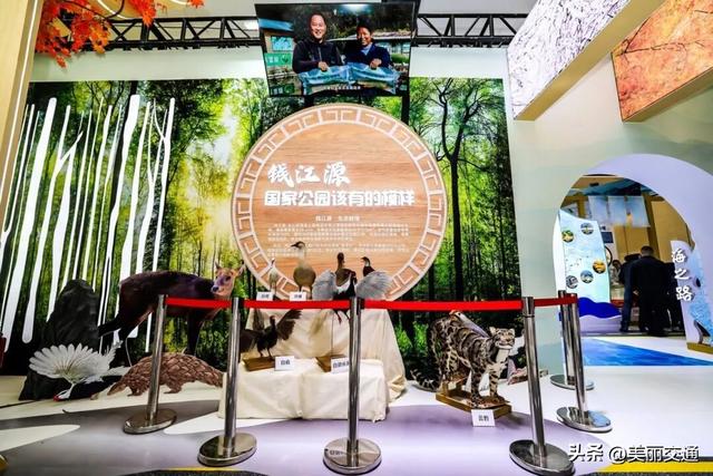 省交博会·衢州展区：公路串珠绘秘境，解锁“交通+”的融合魅力