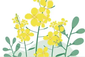 句句不提，句句都是图片