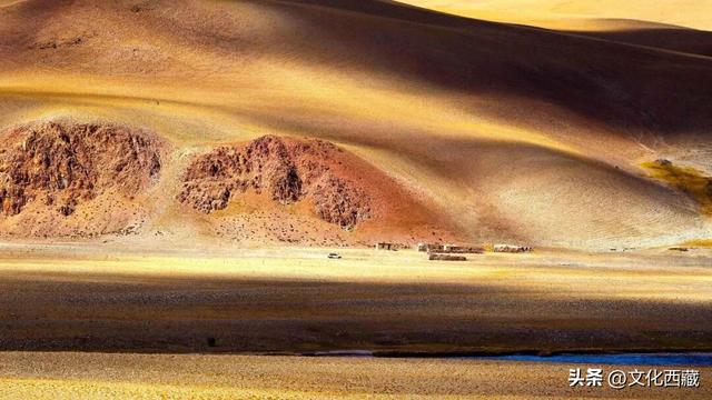 极致风光，唯有西藏阿里！初冬的金色童话一眼沦陷！
