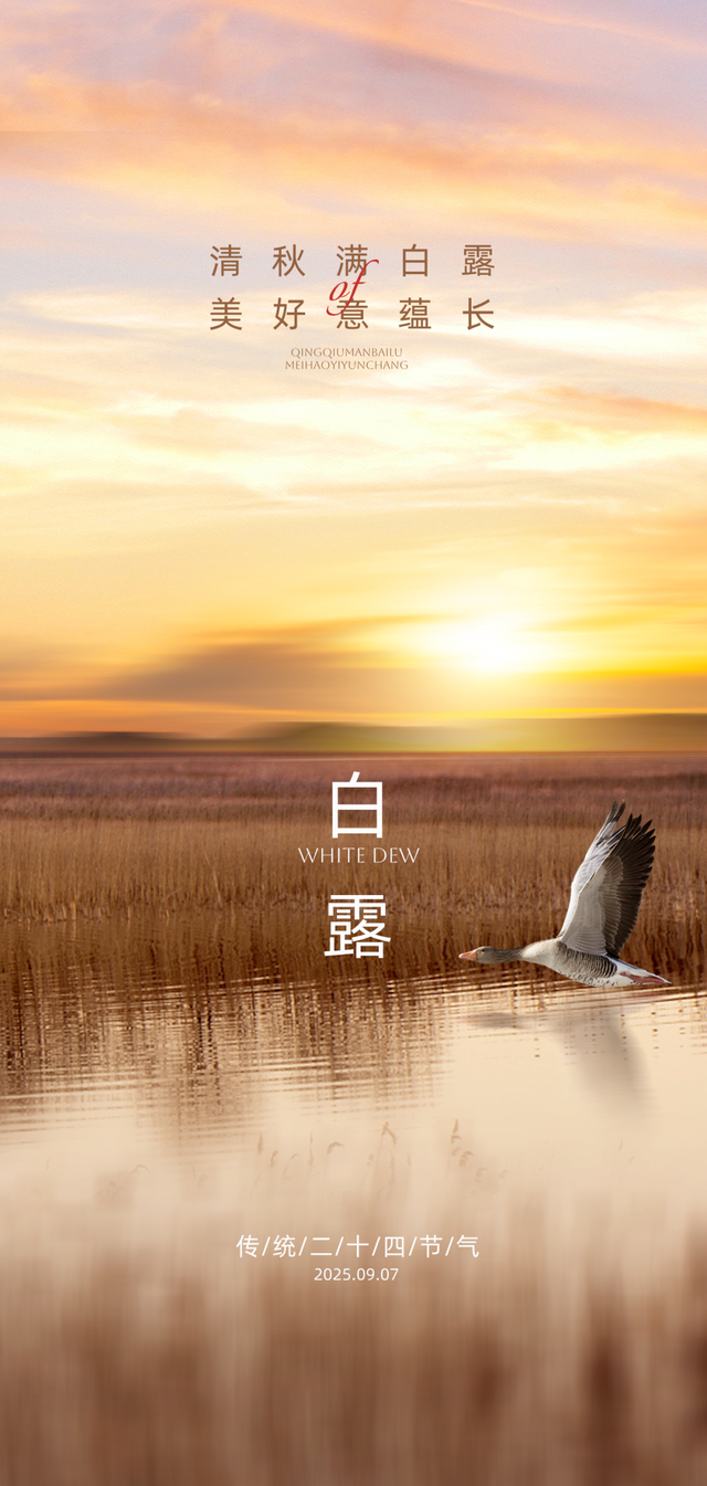 白露图片海报文案，白露朋友圈祝福问候语句子
