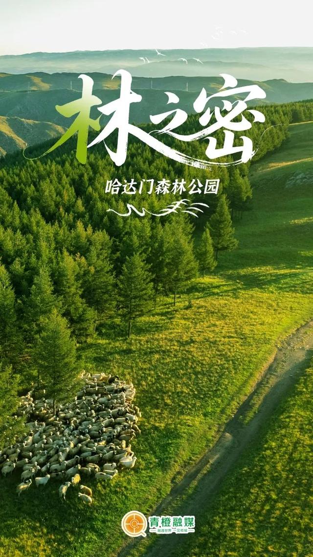 穿越北纬40度，看见“不一样”的呼和浩特！