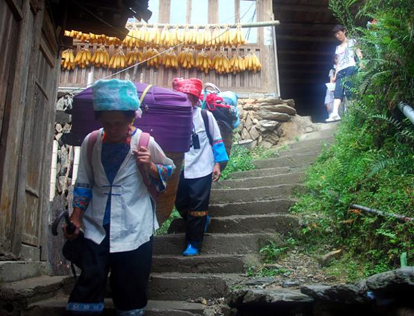 广西旅游：探寻壮丽奇观龙脊梯田（图）