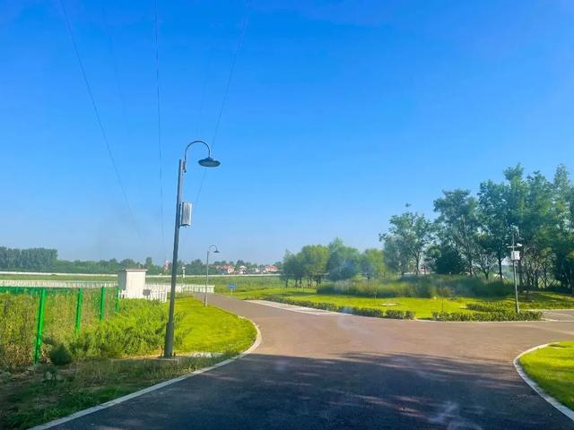 围挡拆除！淄博这个可以看水鸟的公园已面向市民免费开放！