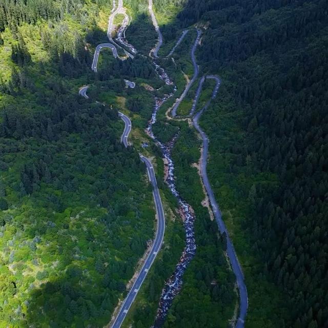 夏末初秋｜达古之绿是四季写给山河的散文诗