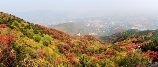 太山的方便面