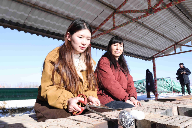 贺兰县：冰雪经济新引擎 稻渔空间开启冬季旅游热潮