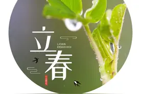 立春日，说龙年生肖日起始图片