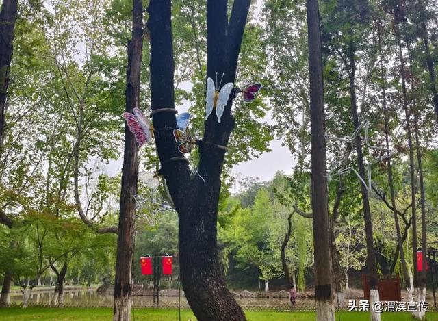 国庆这样玩！茵香河文化旅游区邀您“十一”畅享假期好时光