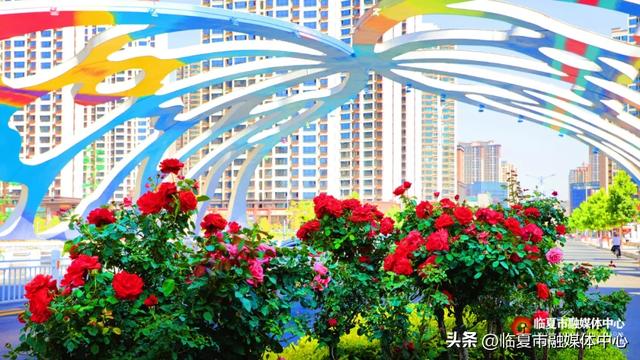 花都临夏市：晴有暖阳 云有絮语 风雨皆成风景