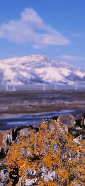 青海布哈河湿地：青海湖的母亲河