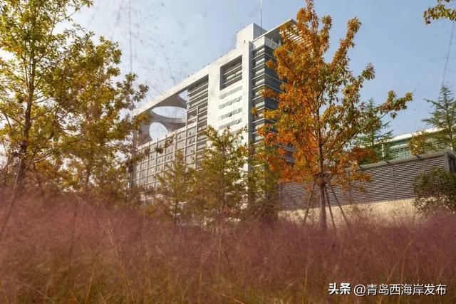 走不出这画了，我已被西海岸的秋景迷倒 🥹