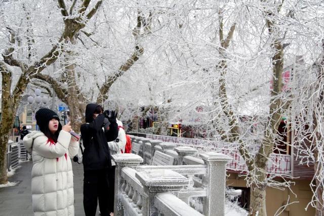 庐山喜迎马年首场雾凇奇观