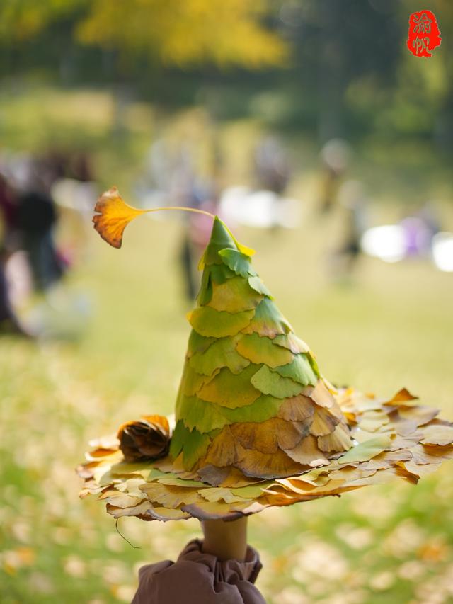 重庆中央公园的银杏黄了，奉上游玩秘籍与拍照攻略，喜欢速来