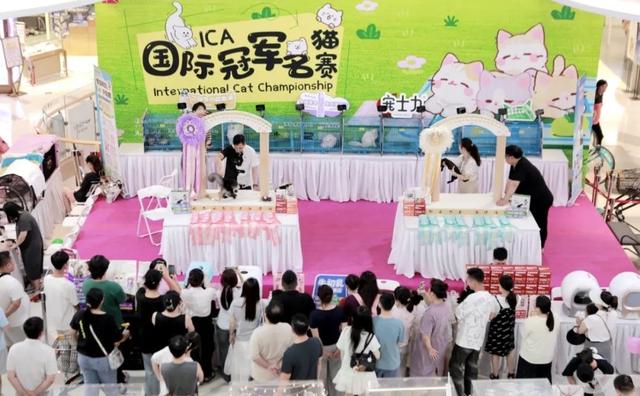 深读三龙湾丨这个国庆中秋假期，看见不一样的三龙湾