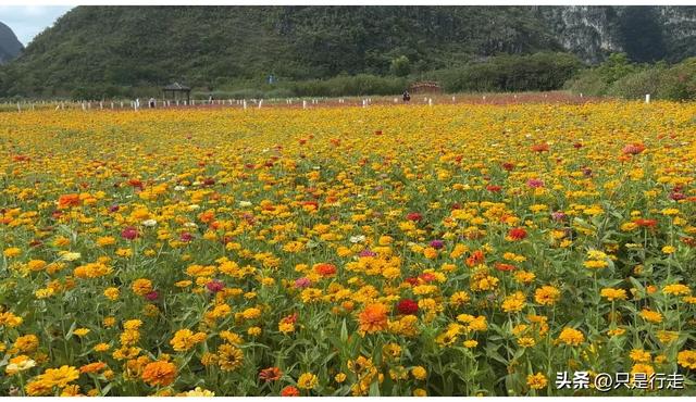 2025年广西百色、靖西自驾游