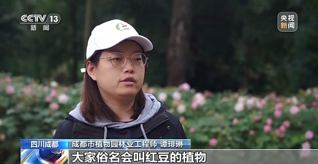 “捡秋”有风险 “尝鲜”需谨慎！牢记这些可避隐患